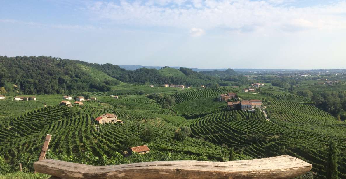 Prosecco: Wine Tour & Tasting Along the Unesco Hills