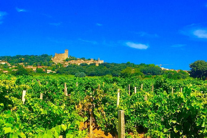 Provence Cru Wine Small-Group Half-Day Tour From Avignon - Tour Overview