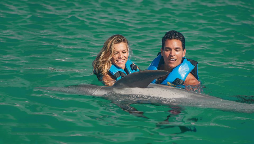 Puerto Aventuras: Amazing Dolphin Encounter With Lunch