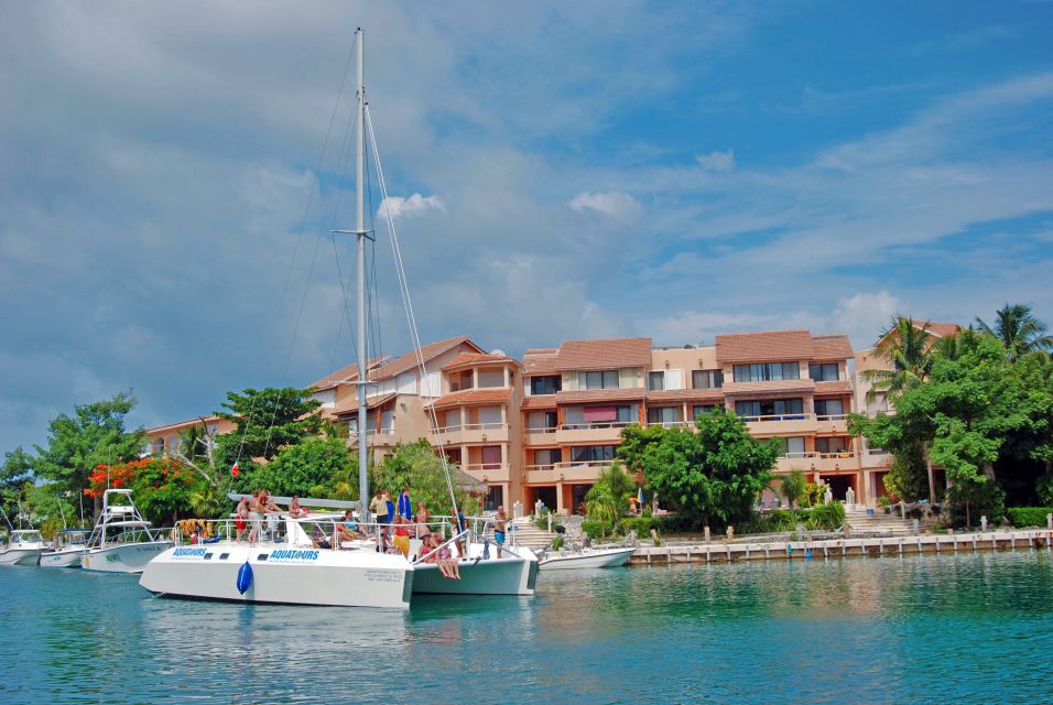 Puerto Aventuras: Dolphin Encounter With Buffet Lunch