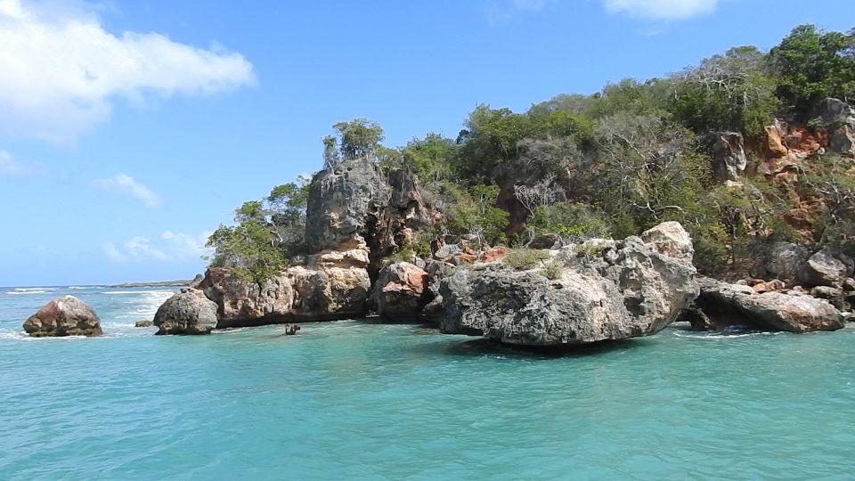 Puerto Plata: Day Trip to Cayo Arena Island by Speedboat - Overview of the Day Trip