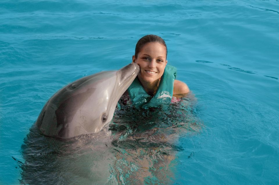 Puerto Plata Ocean World Dolphin Swim