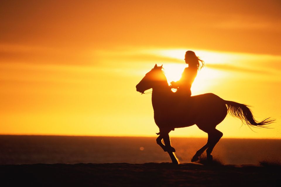 Puerto Plata: Sunset Beach Horseback Riding Tour