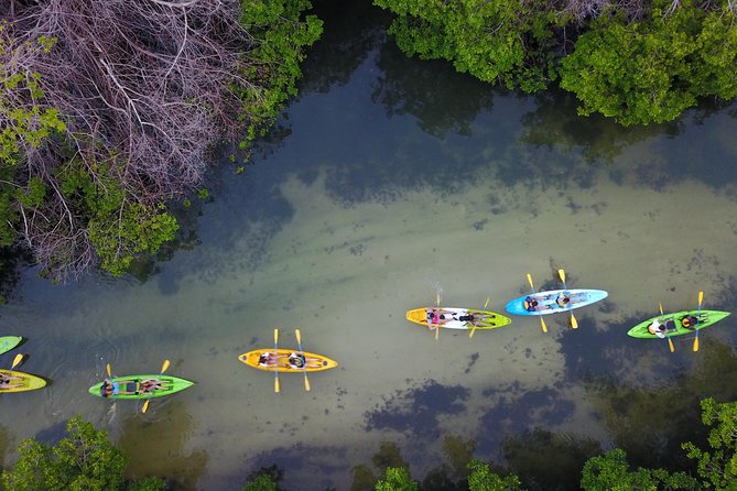 Puerto Rico Bio Bay Kayak Adventure Tour