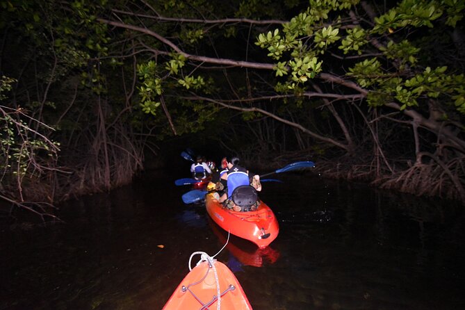 17 Best Kayak And Canoe Tours In Puerto Rico | Travel Buddies