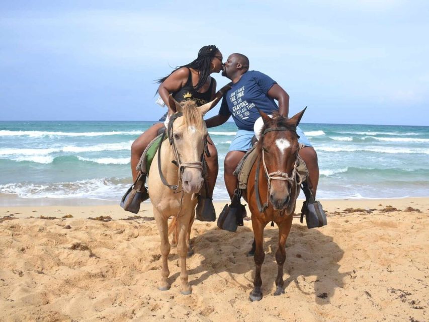 Punta Cana: 1 Hour of Horseback Riding With Hotel Pickup