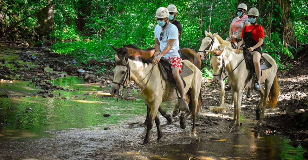 Punta Cana: 3 Tour Zip Line, Buggy and Horse Ride.