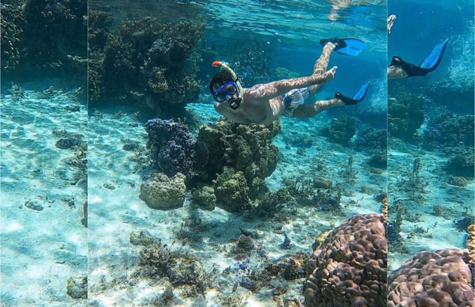 Punta Cana: Full-day Snorkelling Tour in Catalina Island