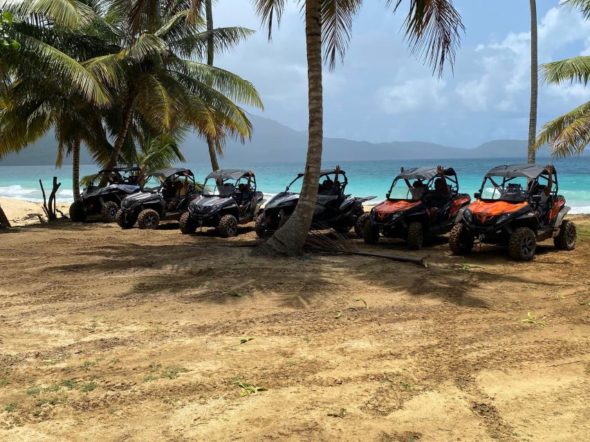 Punta Cana: Samana Panoramic City Tour + Buggy Tour + Playa Rincon