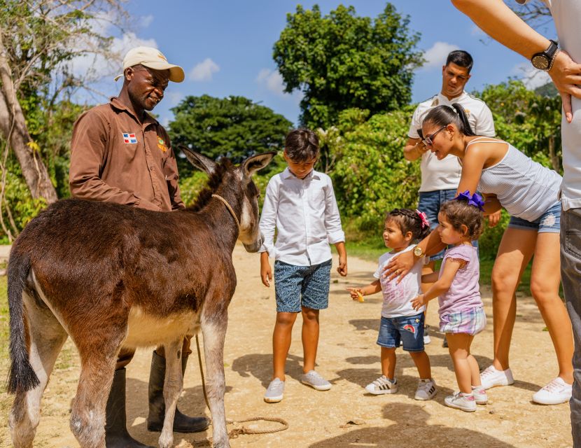 Punta Cana: Zipline, Chairlift, Buggy & Horse Ride Adventure - Zipline Thrill and Heights