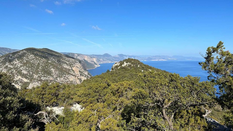 Punta Salinas: Buggy Excursion From Baunei