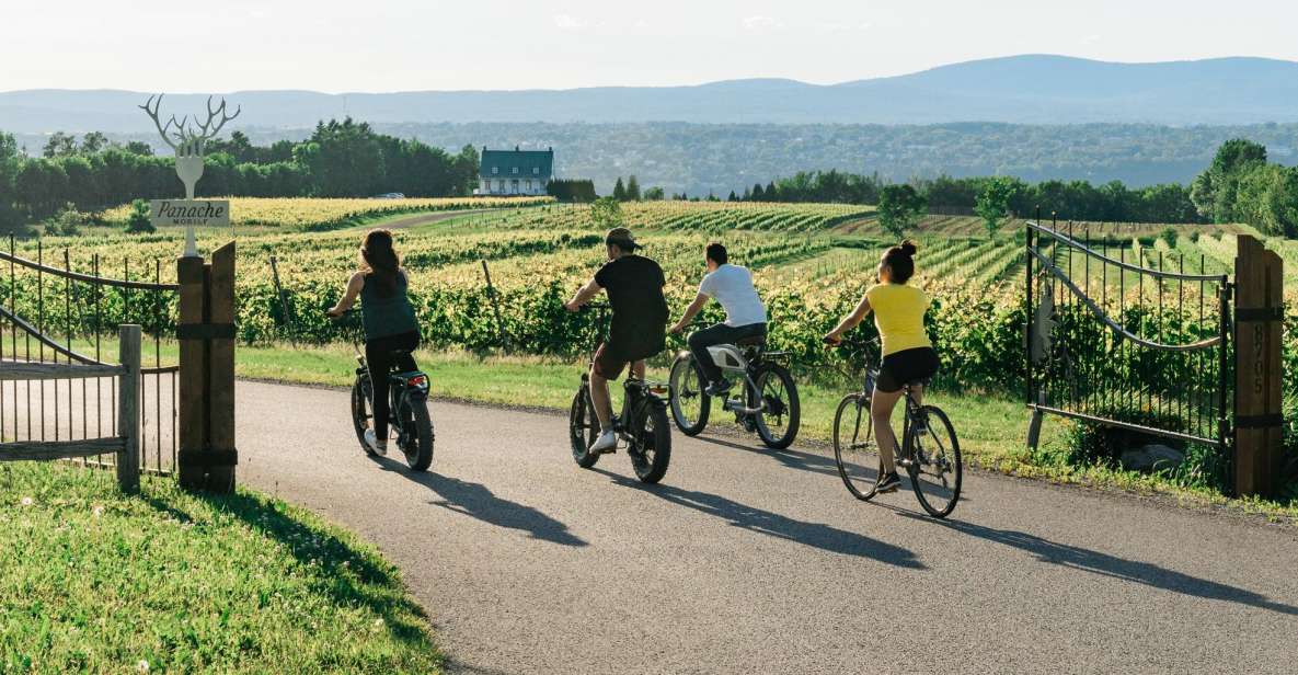 Quebec City: Electric Bike Rental on Île D’Orléans