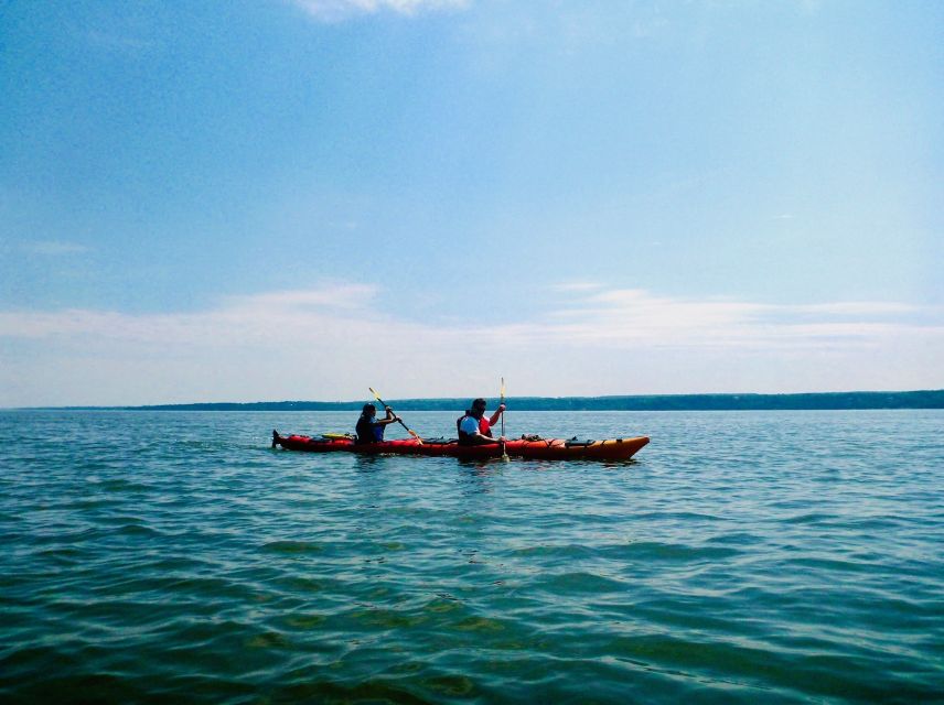 Quebec City: Sea-Kayaking Tour in Orleans Island