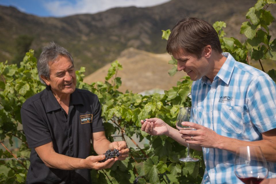 Queenstown: Afternoon Wine Tasting Tour With 3 Wineries