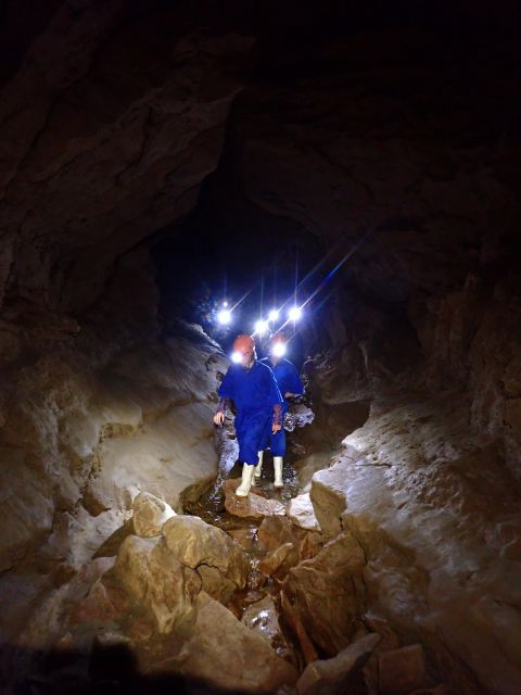 Raglan: Guided Cave Adventure With Glow Worms