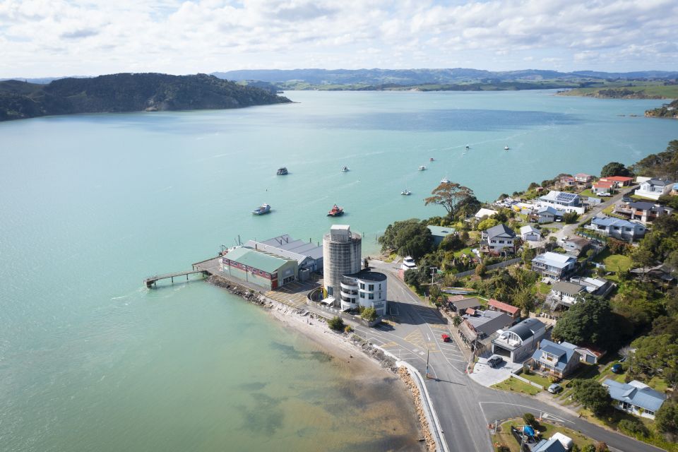 Raglan: Lunchtime Cruise of Raglan Harbour