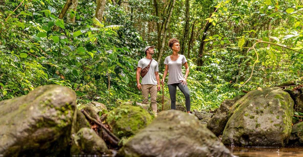 Rainforest Hike and Beach