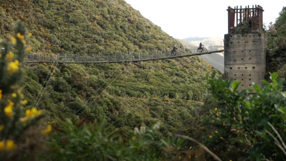 Remutaka Rail Trail Ebike Shore Excursion for Cruise Ships