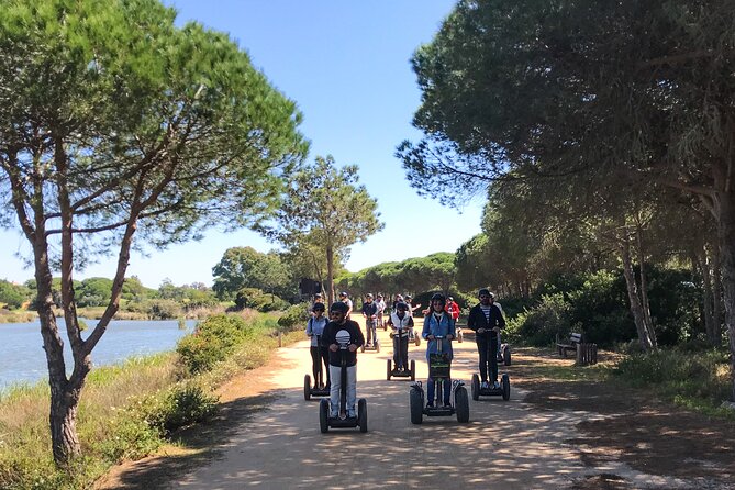 Ria Formosa Natural Park Birdwatching Segway Tour From Faro