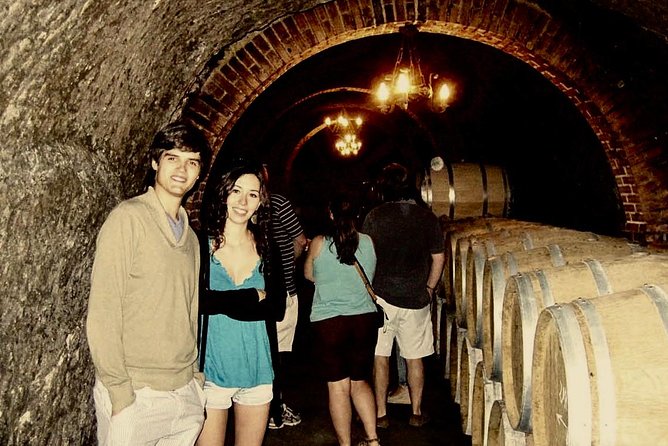 Ribera Del Duero Winery Guided Tour and Wine Tasting From Madrid - Winery Visits and Tastings