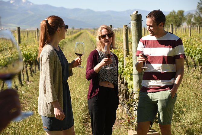 Rioja Alta and Rioja Alavesa Wine Tour - Tour Overview