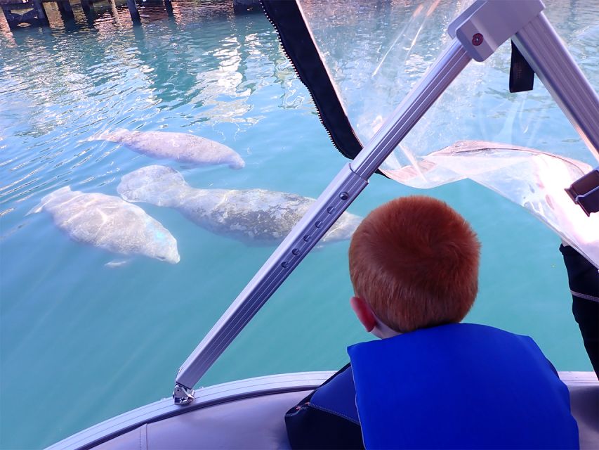 River Cruise With Manatee Viewing