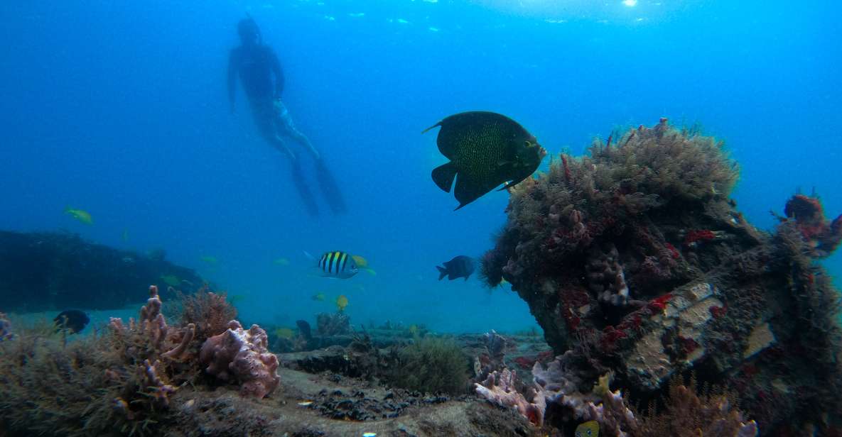 Riviera Beach, FL: Blue Heron Bridge Reef Snorkeling Tour