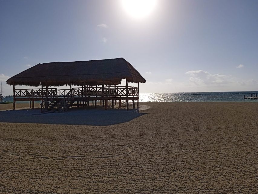 Riviera Maya: Speed Boat Tour & Beach Club Access