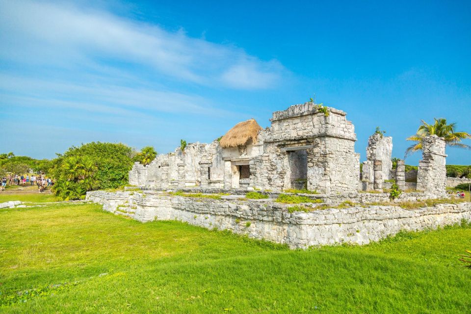Riviera Maya: Tulum Ruins, Sea Turtles & Cenote Day Tour