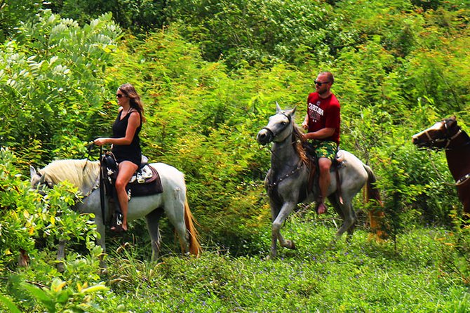 Roatan Half-Day Horseback Ride, Zip Line and Snorkel Excursion