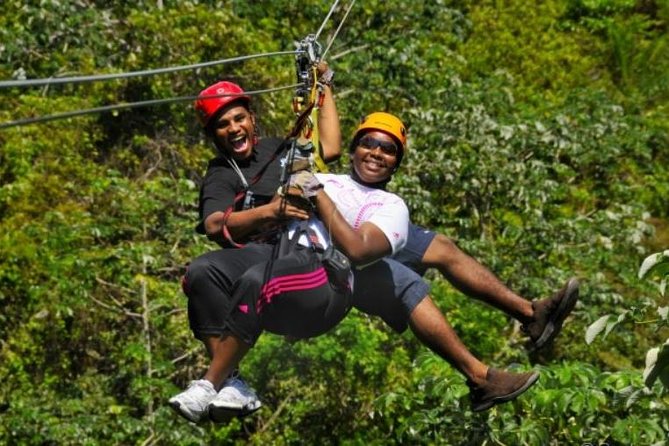 Roatan Shore Excursion: Zip N Dip Canopy Tour