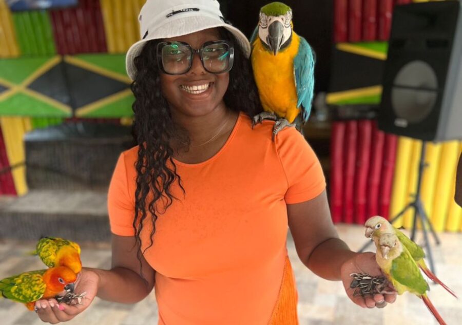 Rocklands Bird Sanctuary & Bird Farm With Private Transport