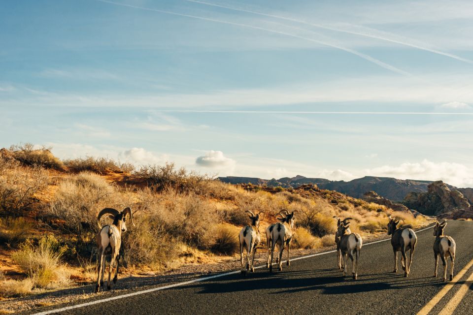 Rocky Mountain National Park: Driving Audio Tour App