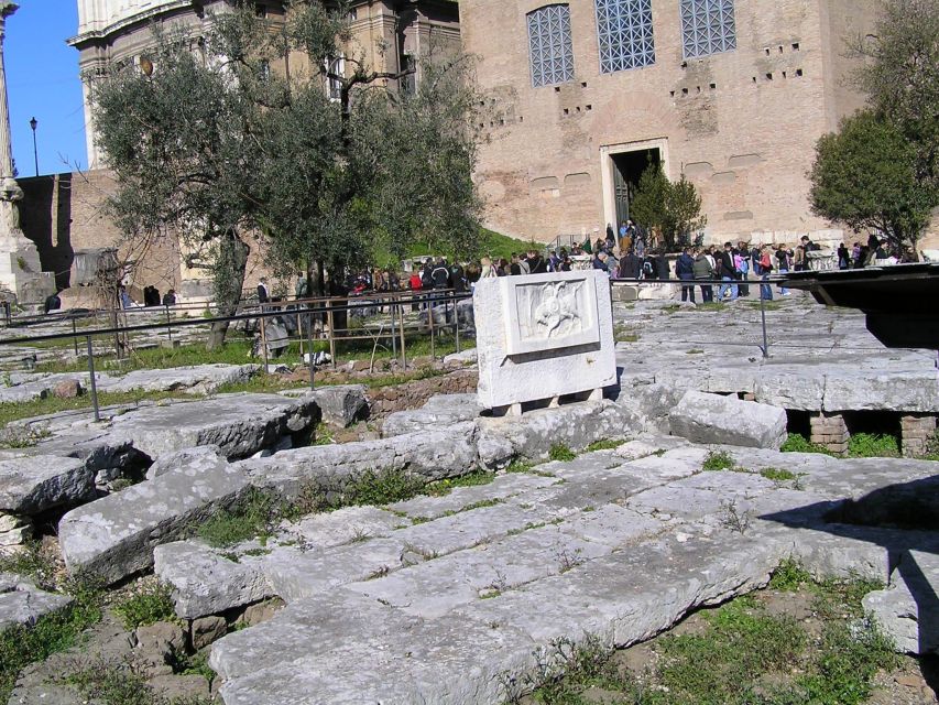 Roman Forum: 3 Hour History Tour for Inquisitive Persons