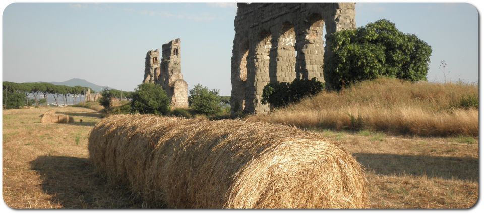 Rome: Appian Way E-Bike Tour Catacombs, Aqueducts & Picnic