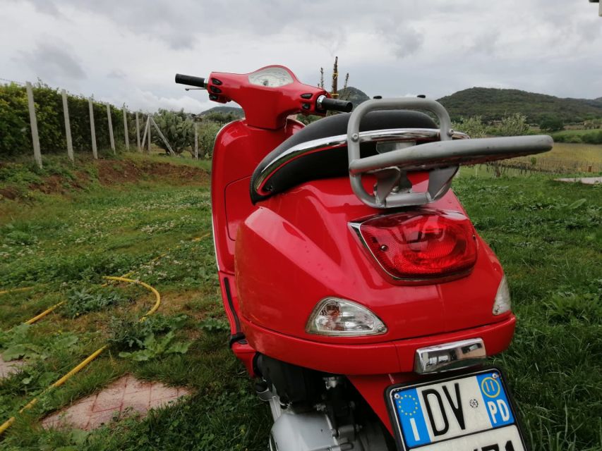 Rome: City Highlights Vespa Tour With Driver