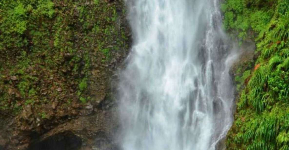 Roseau: Guided Day Trip to Popular Waterfalls