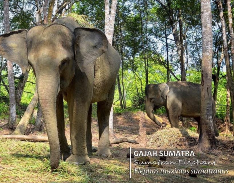 Safari Lagoi & Eco Farm Bintan