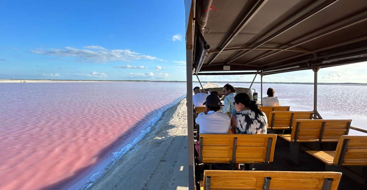 Safari Tour Around the Pink Lakes of Las Coloradas - Exploring the Pink Lakes