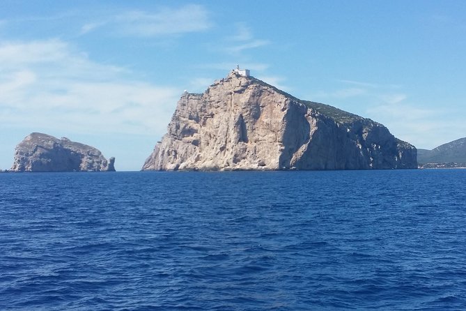 Sailing Day Trip on Tall Ship Andrea Jensen With Lunch and Wine