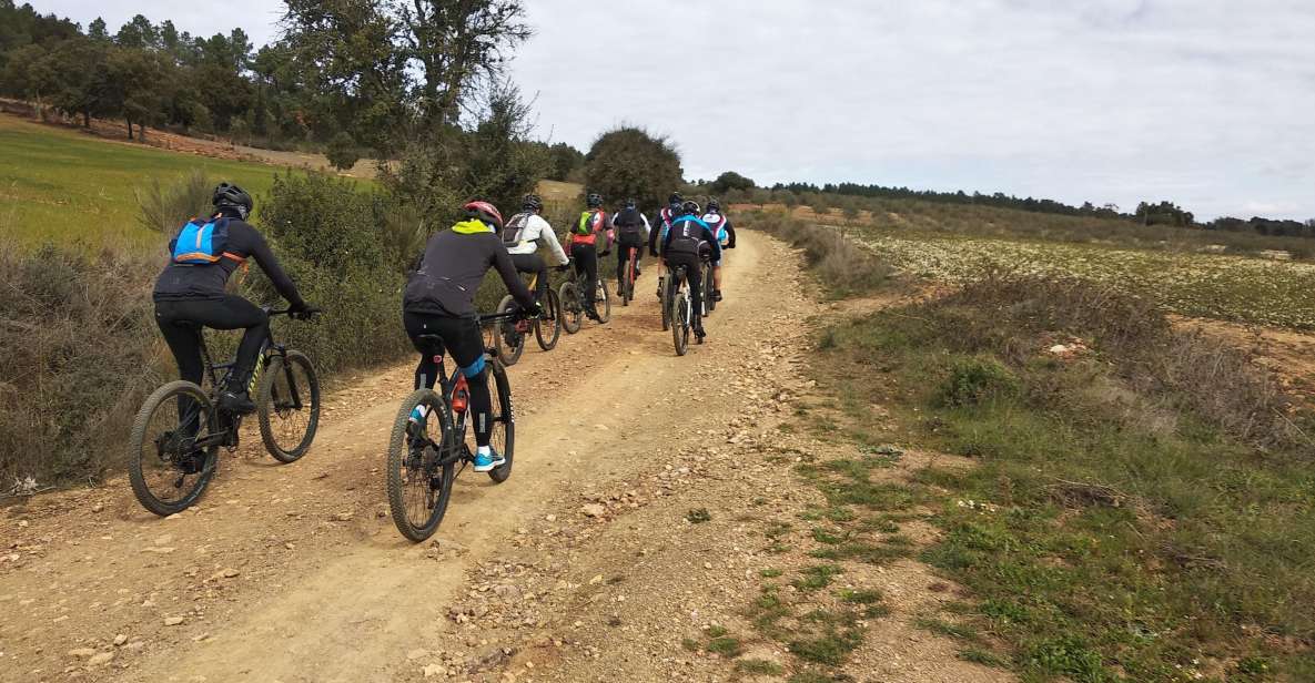 Salomons Route in the Côa Valley - Activity Details