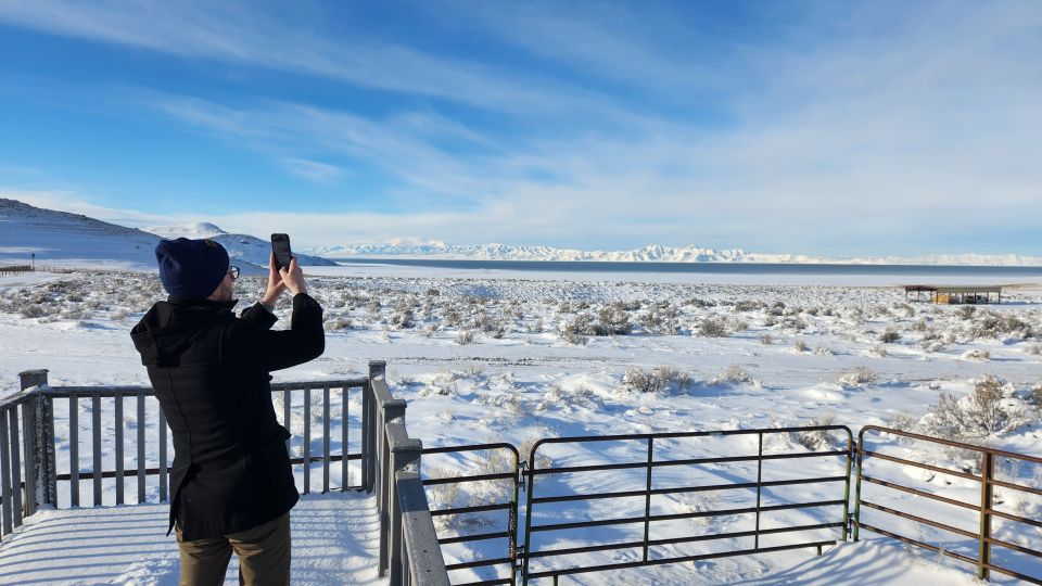 Salt Lake City: Great Salt Lake Antelope Island Guided Tour