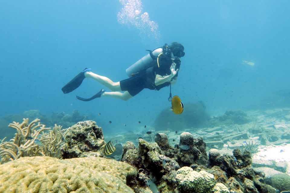 Samui: Intro Dive in Koh Tao