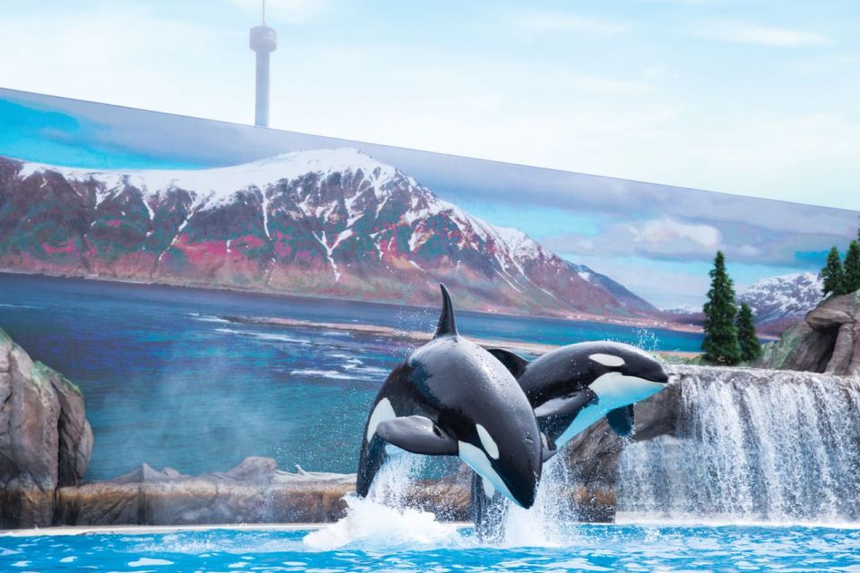 San Antonio: SeaWorld Skip-the-Line Park Admission Ticket