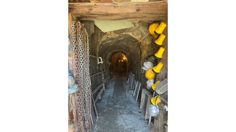 San Diego: Julian Gold Mine and Pie Tour - Tour Overview