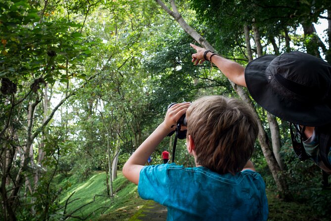 San Jose Walking Nature Tour: Sloths, Birds and Trees