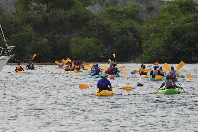 San Juan Bio Bay Kayak Night Tour With Transport