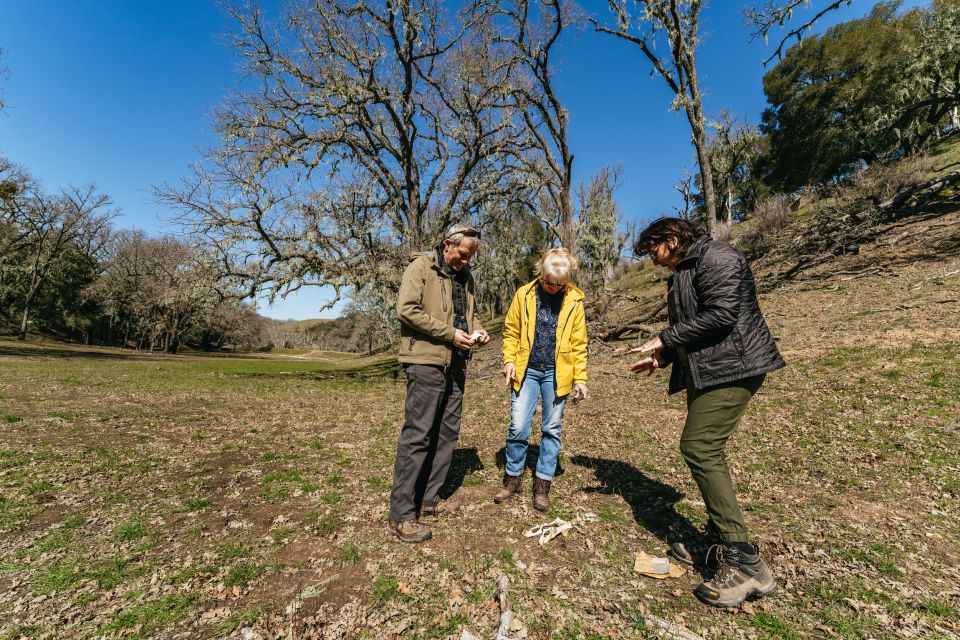 San Luis Obispo: Santa Lucia Guided Nature Tour by Hummer