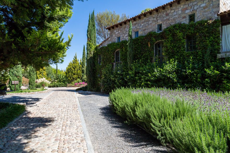 San Miguel De Allende: Tour of 2 Vineyards With Wine Tasting - Exploring the Vineyards