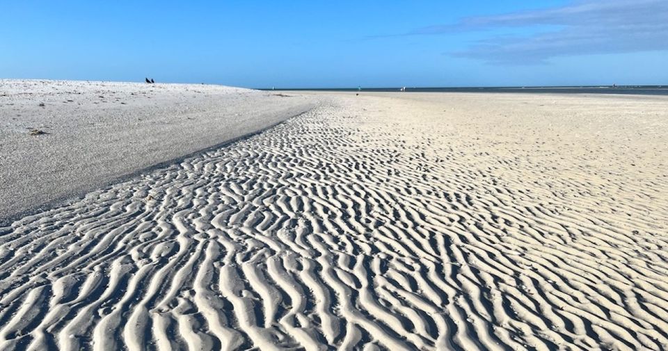 Sand Bar Shelling Tour - Tour Duration and Group Size